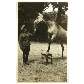 Wehrmachtssoldat zu Pferd. Espenlaub militaria